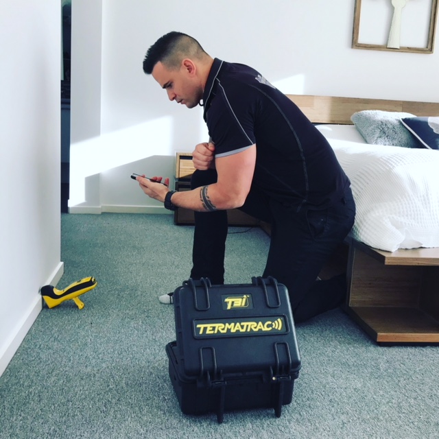 Professional termite inspections Geelong Pest Control