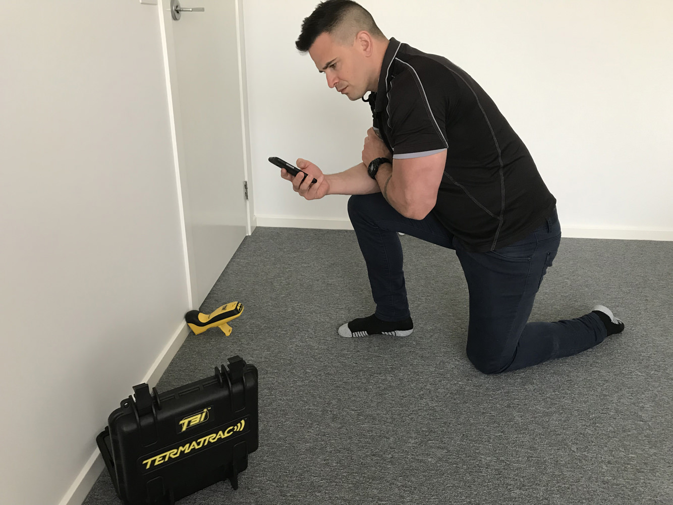 Termite inspection with Termatrac termite detector