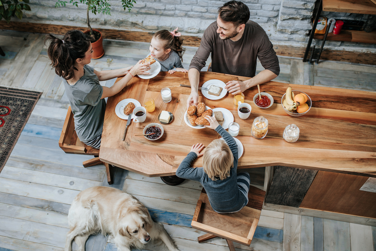 Pest free home - family and dog in kitchen