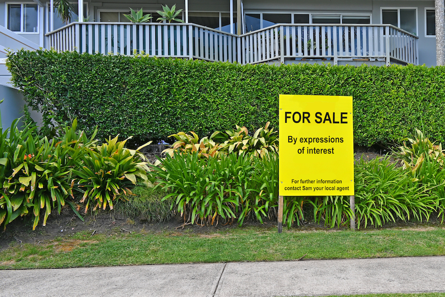 Pre-purchase timber pest inspection